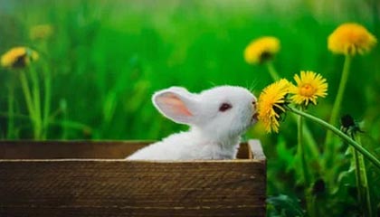 华体会(hth)网页版——开启全新体育娱乐平台体验